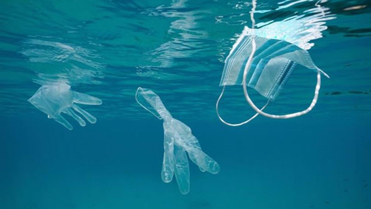 26 bin 'plastik Covid atığı' dünyadaki denizleri kirletiyor