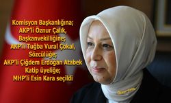 TBMM Kadına Karşı Şiddet Araştırma Komisyonu'nda AKP- MHP koltukları paylaştı