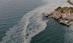 Büyükada'da 'Deniz salyası' benzeri kirlilik