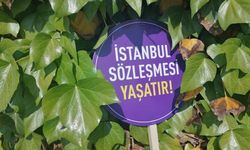 İstanbul Sözleşmesi davasında Danıştay Savcısı Erdoğan'ı üzdü