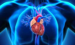Kalp hastalarına müjde: Tık tık atan yapay kalp üretildi