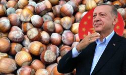 Üretici fındığına 85 lira istiyordu, Erdoğan 54 lira verdi