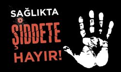 Sağlık-Sen: Ağustos ayında 29 sağlık çalışanı şiddet gördü