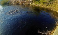 Büyük Menderes Nehri'nde kirlilik had safhaya ulaştı