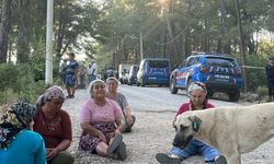 Akbelen Ormanı direnişçilerine jandarmadan sert müdahale: 8 kişi gözaltında