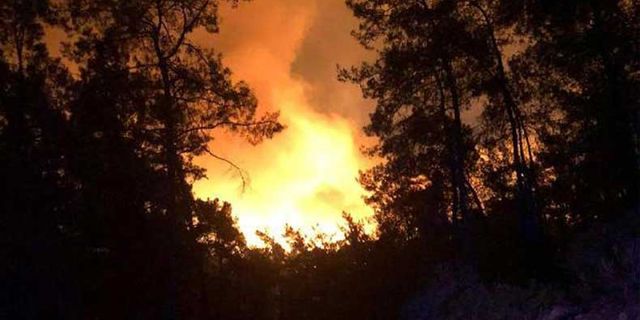 Yangın söndürüldü: 4bin 500 hektarlık orman yok oldu