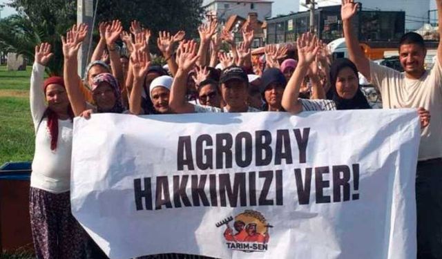 Agrobay'da kadın direnişinde yeni gelişme: CHPli kadınlar niçin sessiz?