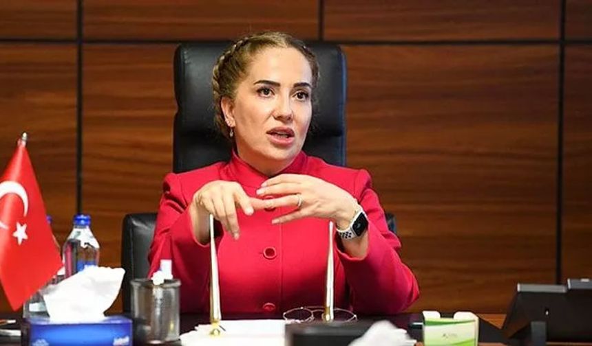 Kadın vali, AKP'li eşi Gezi kararını eleştirince merkeze çekildi