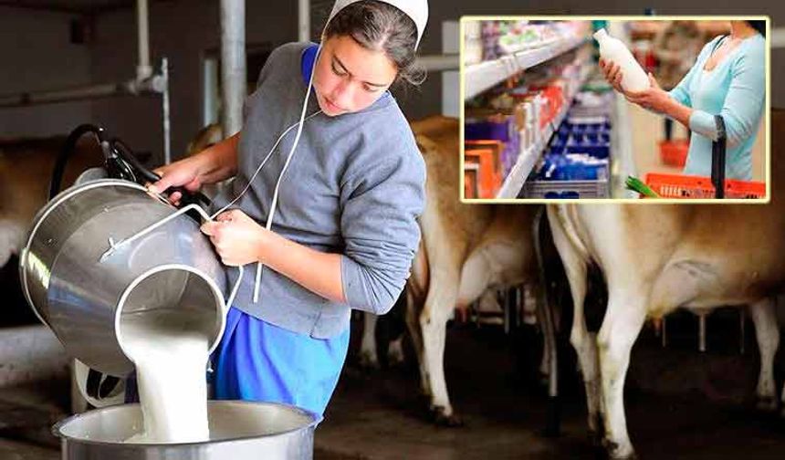 Markette bir litre sütün fiyatı, çiğ sütün 3 katına çıktı