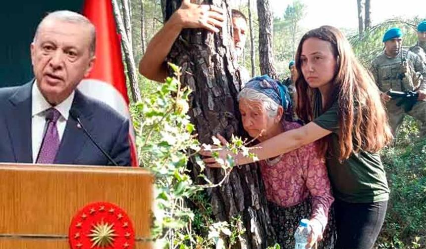 Erdoğan'dan Akbelen'e 'Gezi' yaklaşımı: Marjinallere bakmayız